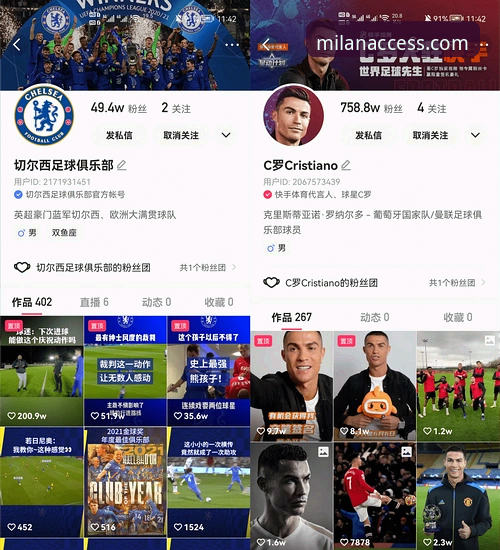 米兰体育平台官方入口深度解析：如何精准定位最佳链接